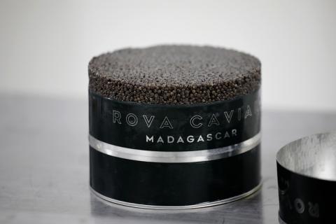 A can of Rova caviar is seen in the processing line at the Acipenser fish farm in Ambatolaona, Madagascar, September 10, 2019. PHOTO BY REUTERS/Baz Ratner