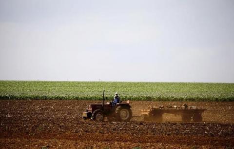 Farmers work on a land outside Lichtenburg, a maize-growing area in the North West province, South Africa, November 26, 2015. PHOTO BY REUTERS/Siphiwe Sibeko