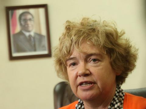 British Ambassador to Zimbabwe Catriona Laing speaks to the media in Harare, Zimbabwe, February 8, 2017. PHOTO BY REUTERS/Philimon Bulawayo