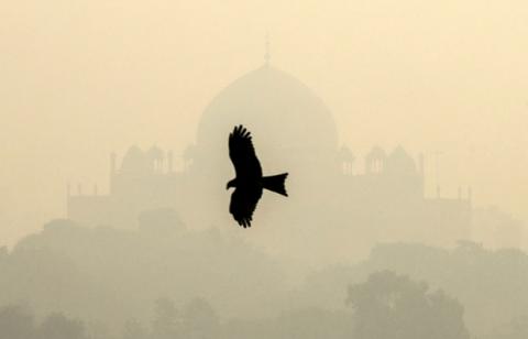 A bird flies past the Humayun's Tomb shrouded in smog in New Delhi, India, October 29, 2018. PHOTO BY REUTERS/Anushree Fadnavis