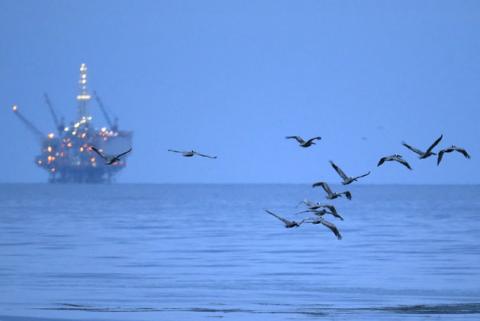 Birds covered in oil fly in front of an oil-drilling platform above an oil slick along the coast of Refugio State Beach in Goleta, California, United States, May 20, 2015. PHOTO BY REUTERS/Lucy Nicholson