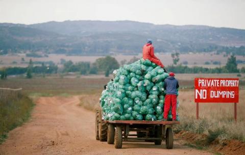 Farm workers harvest cabbages at a farm in Eikenhof, near Johannesburg, South Africa May 21, 2018. REUTERS/Siphiwe Sibeko/File Photo
