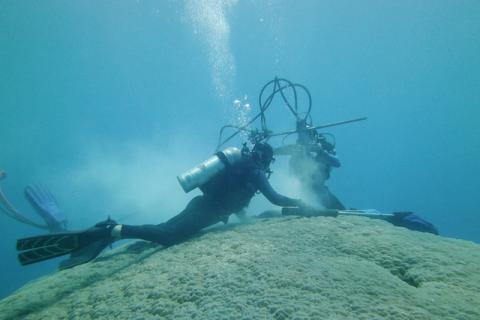 Members of Braddock Linsley's research team drill a coral core from the Porites lutea colony, known as "Big Mama" in American Samoa in 2011. PHOTO BY REUTERS/Braddock Linsley/Handout 