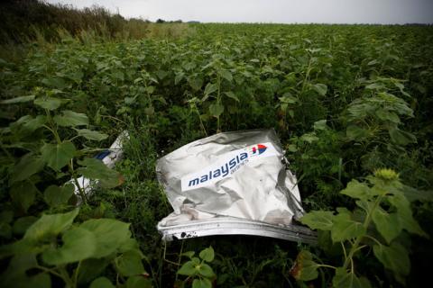 Debris from a Malaysian Airlines Boeing 777 that crashed on Thursday lies on the ground near the village of Rozsypne in the Donetsk region, July 18, 2014. PHOTO BY REUTERS/Maxim Zmeyev