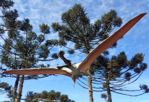 An artist's rendition of the Australian Cretaceous Period pterosaur Ferrodraco lentoni is seen in this image released October 3, 2019. PHOTO BY REUTERS/Travis R. Tischler