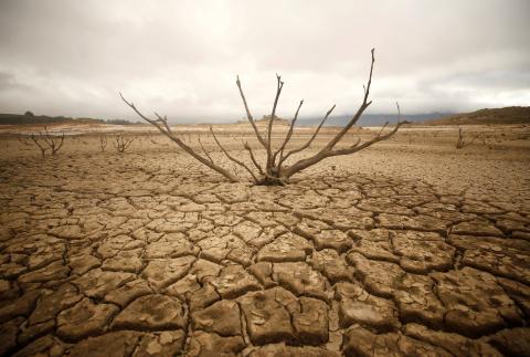 Dried-out branches are seen amongst caked mud at Theewaterskloof dam near Cape Town, South Africa, January 20, 2018. PHOTO BY REUTERS/Mike Hutchings