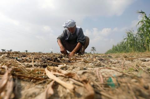 A farmer works at his farmland of Fayoum, southwest of Cairo, Egypt, October 27, 2019. PHOTO BY REUTERS/Amr Abdallah Dalsh