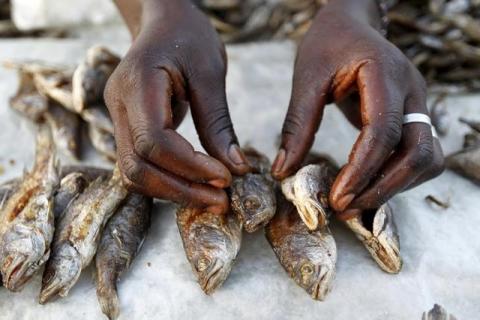 Patricia Anyango arranges fish at her stall within the trading centre of the village of Kogelo, west of Kenya's capital Nairobi, July 14, 2015. PHOTO BY REUTERS/Thomas Mukoya