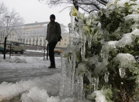 A man walks past a frozen bush in Uzekistan's capital Tashkent, February 14, 2008. PHOTO BY REUTERS/Valeriy Kharitonov