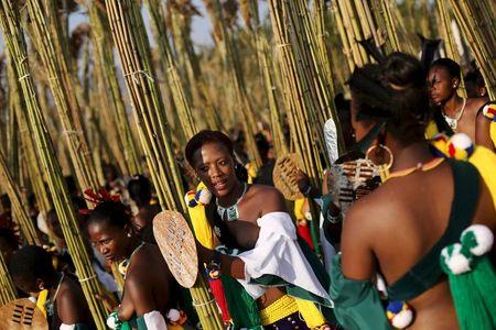 Maidens look on while preparing to deliver the reeds at Ludzidzini royal palace during the annual Reed Dance in Swaziland, August 30, 2015. PHOTO BY REUTERS/Siphiwe Sibeko