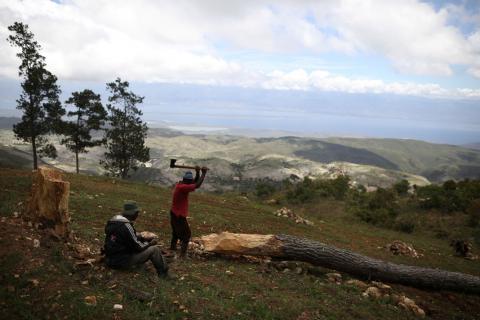 A man cuts a tree in the fields of Chapotin, with Boucan Ferdinand and the Dominican Republic in the background, on the trail that connects Boucan Ferdinand and Chapotin, Haiti, April 11, 2018. PHOTO BY REUTERS/Andres Martinez Casares