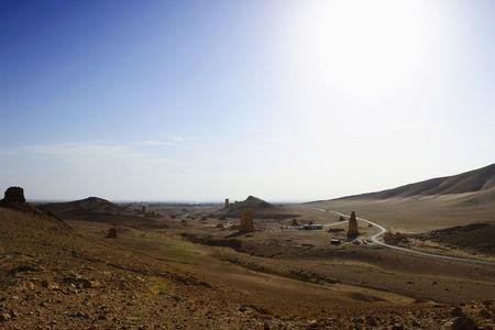 A general view of the old souk and the Victory gate is seen at the historical city of Palmyra, October 23, 2010. PHOTO BY REUTERS/Omar Sanadiki