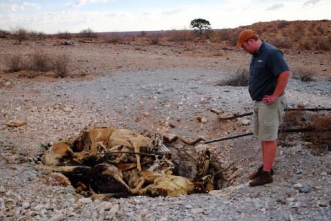 Farm manager Burger Schoeman stands over a pit of dead animals near Groblershoop, South Africa, December 6, 2019. PHOTO BY REUTERS/Shafiek Tassiem