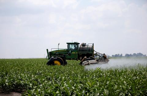 A worker uses a John Deere tractor to spray a field of crops during a crop-eating armyworm invasion at a farm in Settlers, northern province of Limpopo, South Africa, February 8, 2017. PHOTO BY REUTERS/Siphiwe Sibeko