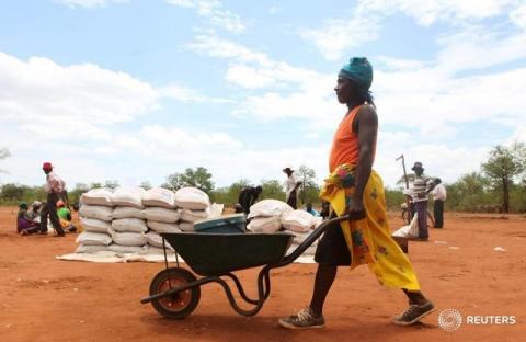 A villager uses a wheelbarrow to collect a monthly food ration provided by the United Nations World Food Programme (WFP) in Masvingo, Zimbabwe, January 25, 2016. PHOTO BY REUTERS/Philimon Bulawayo