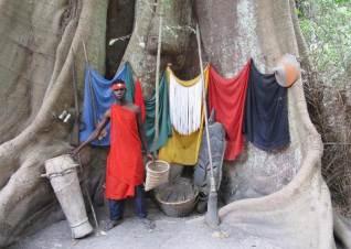 A guide poses at the foot of a fromager (kapok) tree which is part of an open-air museum on Diola culture in a forest near Cap Skirring, Senegal, May 7, 2015. PHOTO BY REUTERS/David Lewis