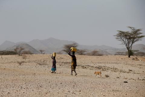 Turkana people carry water near Lodwar, in Turkana County, Kenya, February 7, 2018. PHOTO BY REUTERS/Baz Ratner