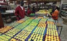 Workers arrange fresh roses at the Vermont Flowers export processing zone (EPZ) factory in Kenya's capital Nairobi. PHOTO BY REUTERS/Thomas Mukoya