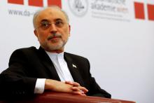 Head of the Iranian Atomic Energy Organization Ali Akbar Salehi attends the lecture "Iran after the agreement: Hopes & Concerns" in Vienna, Austria, September 28, 2016. PHOTO BY REUTERS/Leonhard Foeger