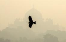 A bird flies past the Humayun's Tomb shrouded in smog in New Delhi, India, October 29, 2018. PHOTO BY REUTERS/Anushree Fadnavis