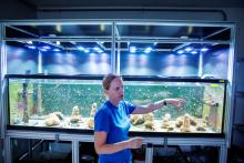 Florida scientists induce spawning of Atlantic coral in lab for first time