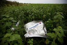 Debris from a Malaysian Airlines Boeing 777 that crashed on Thursday lies on the ground near the village of Rozsypne in the Donetsk region, July 18, 2014. PHOTO BY REUTERS/Maxim Zmeyev