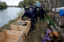 Deminers from a bomb-disposal unit place in boxes unexploded shells recovered in the Meuse River at Sivry-sur-Meuse, close to WWI battlefields, near Verdun, France, October 24, 2018 before the centenial commemoration of the First World War Armistice Day. PHOTO BY REUTERS/Pascal Rossignol