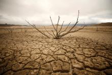 Dried-out branches are seen amongst caked mud at Theewaterskloof dam near Cape Town, South Africa, January 20, 2018. PHOTO BY REUTERS/Mike Hutchings