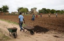 A rural family prepares land for ploughing at Chipfumbi farmlands outside Harare, Zimbabwe, November 28, 2017. PHOTO BY REUTERS/Siphiwe Sibeko