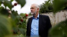 Britain's opposition Labour Party leader Jeremy Corbyn stands in the garden at the Olive Tree Cafe in Swindon, Britain, August 11, 2017. PHOTO BY REUTERS/Peter Nicholls