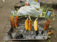 A street vendor roasts maize in central Harare, Zimbabwe, January 12, 2017. PHOTO BY REUTERS/Philimon Bulawayo
