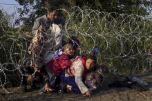 Syrian migrants cross under a fence as they enter Hungary at the border with Serbia, near Roszke, August 27, 2015. PHOTO BY REUTERS/Bernadett Szabo