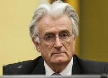 Bosnian Serb wartime leader Radovan Karadzic appears in the courtroom for his appeals judgement at the International Criminal Tribunal for Former Yugoslavia (ICTY) in The Hague