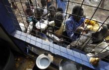 Refugees from South Sudan jostle for wet-food ration at the registration centre in Kakuma refugee camp in Turkana District, northwest of Kenya's capital Nairobi, May 17, 2012. PHOTO BY REUTERS/Thomas Mukoya