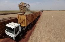 Sugar cane is loaded into a truck at a mill of Da Mata, the Brazilian sugar cane processor, in Valparaiso, 355 miles northwest of Sao Paulo September 18, 2014. REUTERS/Paulo Whitaker