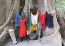 A guide poses at the foot of a fromager (kapok) tree which is part of an open-air museum on Diola culture in a forest near Cap Skirring, Senegal, May 7, 2015. PHOTO BY REUTERS/David Lewis
