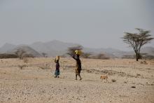 Turkana people carry water near Lodwar, in Turkana County, Kenya, February 7, 2018. PHOTO BY REUTERS/Baz Ratner