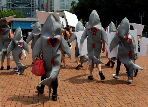 Environmental protection activists protest outside a Chinese restaurant against providing sharks fin soup in Hong Kong, China, June 10, 2017. PHOTO BY REUTERS/Bobby Yip