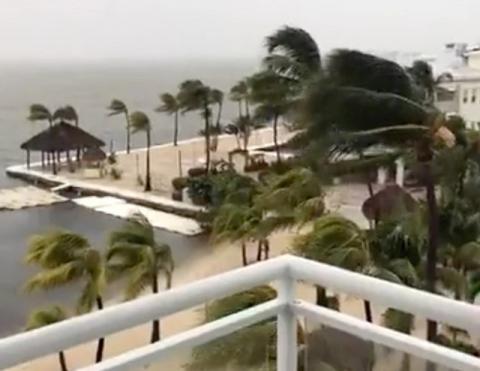 Palm trees sway as strong wind blows in Key Largo, Florida, U.S., September 9, 2017, in this still image taken from a video obtained from social media. PHOTO BY REUTERS/Facebook/Laura Kushner Gibson