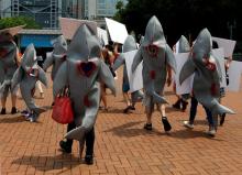 Environmental protection activists protest outside a Chinese restaurant against providing sharks fin soup in Hong Kong, China, June 10, 2017. PHOTO BY REUTERS/Bobby Yip