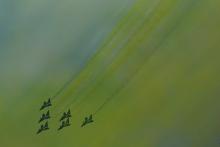 Chinese People's Liberation Army Air Force (PLAAF)'s Bayi Aerobatic Team attends a test flight ahead of the China International Aviation and Aerospace Exhibition, or Zhuhai Airshow in Zhuhai, Guangdong province, China, November 3, 2018. PHOTO BY REUTERS/Stringer