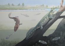 Two newly discovered early amphibians Tutusius and Umzantsia that lived about 360 million years ago during the Devonian Period whose partial remains were unearthed at the Waterloo Farm site in South Africa are shown in this artist’s illustration, released, June 7, 2018. PHOTO BY REUTERS/Maggie Newman