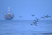 Birds covered in oil fly in front of an oil-drilling platform above an oil slick along the coast of Refugio State Beach in Goleta, California, United States, May 20, 2015. PHOTO BY REUTERS/Lucy Nicholson