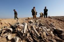 Bones, suspected to belong to members of Iraq's Yazidi community, are seen in a mass grave on the outskirts of the town of Sinjar, November 30, 2015. PHOTO BY REUTERS/Ari Jalal