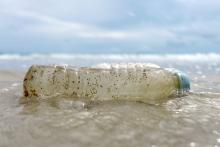 A plastic bottle washed up by the sea is seen at the Ao Phrao Beach, on the island of Ko Samet, Thailand, June 10, 2018. PHOTO BY REUTERS/Jorge Silva
