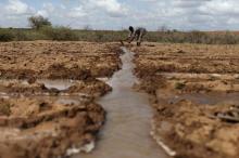 A farmer works in an irrigated field near the village of Botor, Somaliland, April 16, 2016. PHOYO BY REUTERS/Siegfried Modola