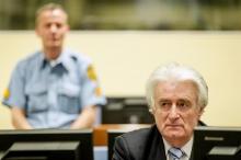 Ex-Bosnian Serb leader Radovan Karadzic sits in the court of the International Criminal Tribunal for former Yugoslavia (ICTY) in the Hague, the Netherlands, March 24, 2016. PHOTO BY REUTERS/Robin van Lonkhuijsen