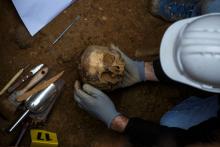A member of the Association for the Recovery of Historical Memory (ARMH) takes part in the exhumation of Casto Mercado Molada who was shot in 1939 by forces of dictator Francisco Franco in Guadalajara's cemetery, Spain, January 29, 2016. Picture taken January 29, 2016. PHOTO BY REUTERS/Juan Medina