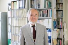 Yoshinori Ohsumi, a professor in Tokyo Institute of Technology is seen at his laboratory office in Yokohama, Japan, June 7, 2013 in this handout released by Tokyo Institute of Technology. PHOTO BY REUTERS